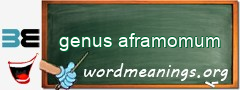 WordMeaning blackboard for genus aframomum